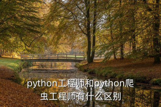 爬蟲工程師，做python網(wǎng)絡(luò)爬蟲工程師有前途嗎