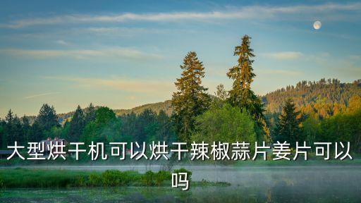 大型烘干機(jī)可以烘干辣椒蒜片姜片可以嗎