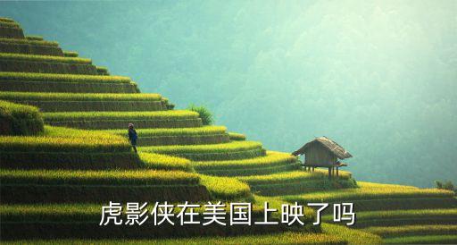 虎影俠在美國上映了嗎