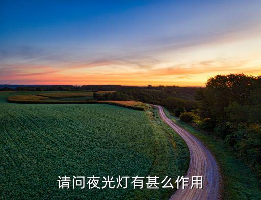 夜光燈，夜光燈的含義是什么