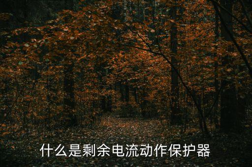 什么是剩余電流動(dòng)作保護(hù)器