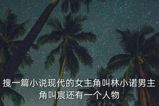 搜一篇小說現(xiàn)代的女主角叫林小諾男主角叫宸還有一個(gè)人物