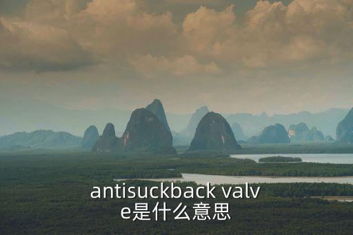 antisuckback valve是什么意思