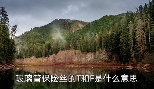 玻璃管保險絲的T和F是什么意思