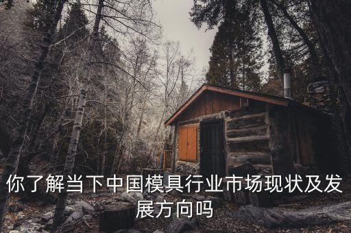 你了解當(dāng)下中國模具行業(yè)市場現(xiàn)狀及發(fā)展方向嗎