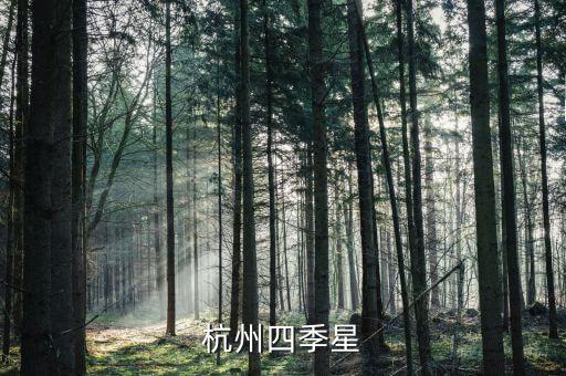杭州四季星