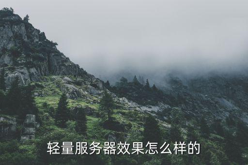輕量服務(wù)器效果怎么樣的