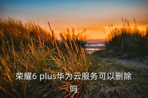 榮耀云服務(wù)，華為榮耀暢玩版g750t01云服務(wù)有哪些功能