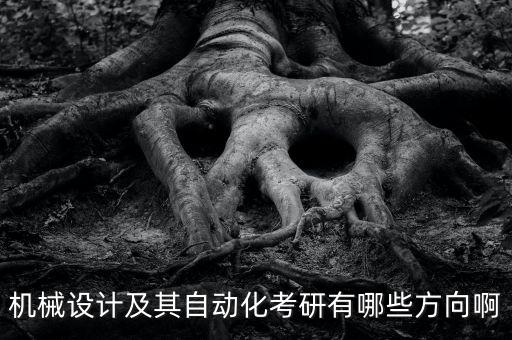 機(jī)械設(shè)計(jì)及其自動(dòng)化考研有哪些方向啊