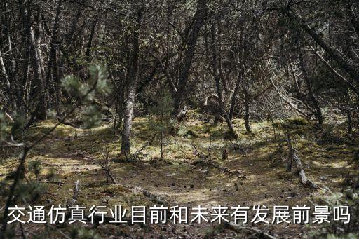 交通仿真行業(yè)目前和未來有發(fā)展前景嗎