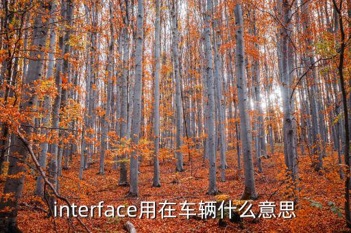 interface，java的interface是什么意思