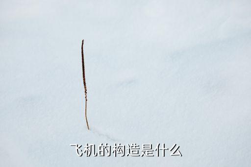 飛機(jī)的構(gòu)造是什么