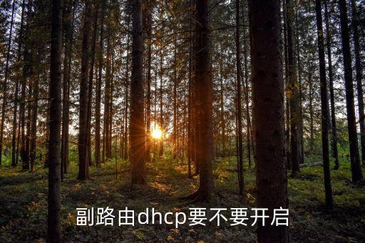 dhcp應(yīng)該開(kāi)啟還是關(guān)閉，設(shè)置路由中dhcp是開(kāi)還是關(guān)我用的電信寬帶