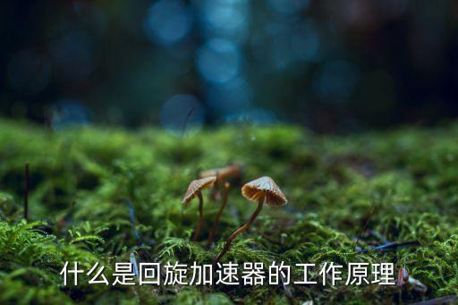 什么是回旋加速器的工作原理
