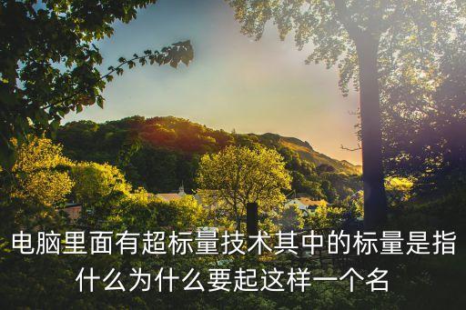 電腦里面有超標(biāo)量技術(shù)其中的標(biāo)量是指什么為什么要起這樣一個(gè)名