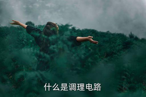 什么是調(diào)理電路