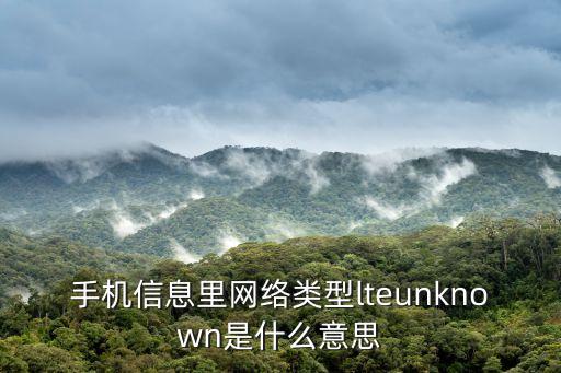 手機(jī)信息里網(wǎng)絡(luò)類型lteunknown是什么意思