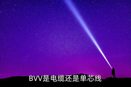 BVV是電纜還是單芯線
