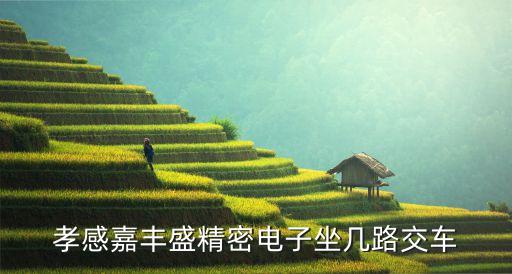 孝感嘉豐盛精密電子坐幾路交車(chē)
