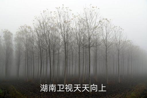 天天向，湖南衛(wèi)視天天向上