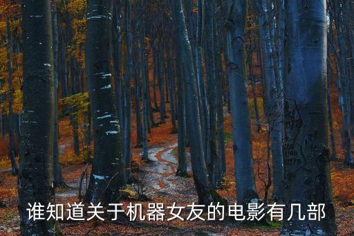 誰(shuí)知道關(guān)于機(jī)器女友的電影有幾部