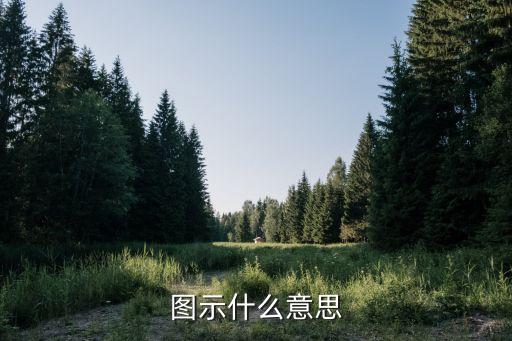圖示，圖示的含義