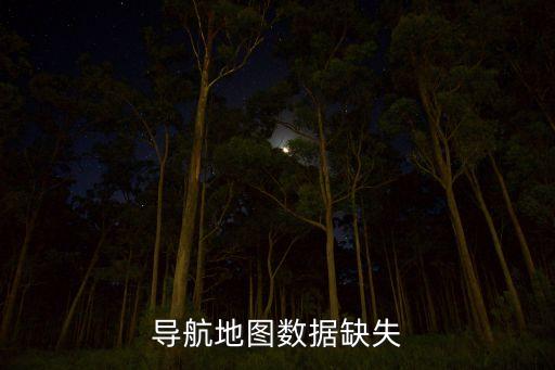 導航地圖數(shù)據(jù)缺失