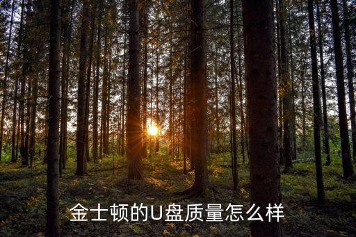 金士頓的U盤質(zhì)量怎么樣