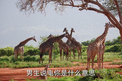 男生說電你是什么意思