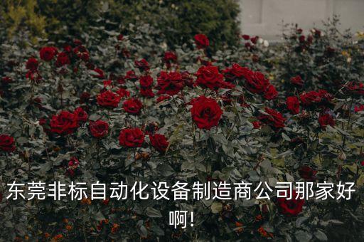 東莞非標(biāo)自動化設(shè)備制造商公司那家好啊!