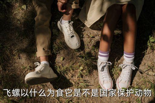 飛螺，飛螺以什么為食它是不是國家保護(hù)動(dòng)物
