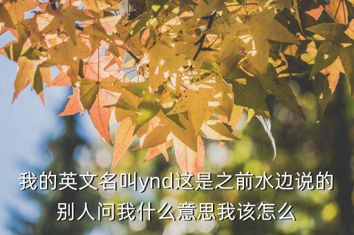 我的英文名叫ynd這是之前水邊說(shuō)的別人問(wèn)我什么意思我該怎么