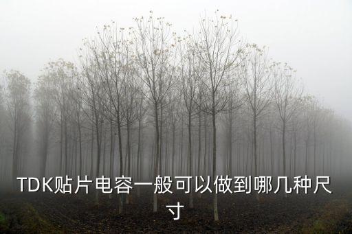 TDK貼片電容一般可以做到哪幾種尺寸
