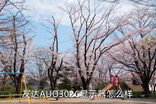 友達(dá)AUO302C顯示器怎么樣