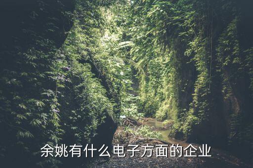 余姚有什么電子方面的企業(yè)