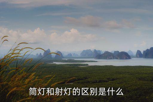 筒燈與射燈區(qū)別，筒燈和射燈的區(qū)別是什么啊