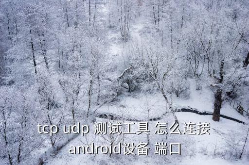 udp端口測(cè)試，如何判斷udp 80端口是否打開(kāi)