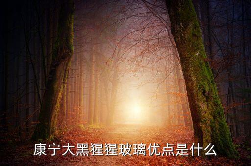 康寧大猩猩，康林大猩猩是什么