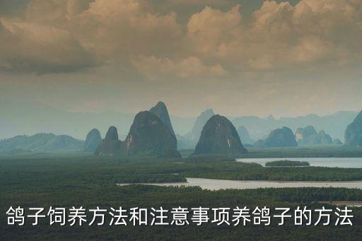 鴿子飼養(yǎng)方法和注意事項(xiàng)養(yǎng)鴿子的方法