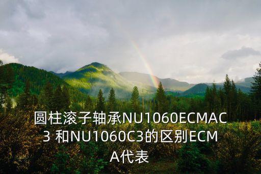 ECMA，JAVAECMA腳本做什么用的哦