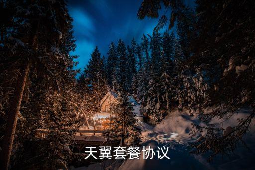 天翼套餐協(xié)議
