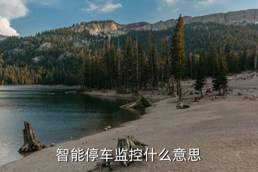 停車監(jiān)控，停車監(jiān)控線有甚么用
