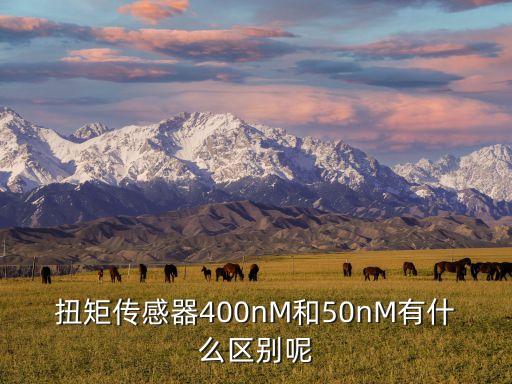 扭矩傳感器400nM和50nM有什么區(qū)別呢
