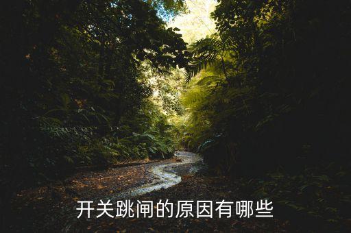 開關(guān)跳閘的原因有哪些