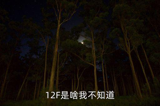 12F是啥我不知道