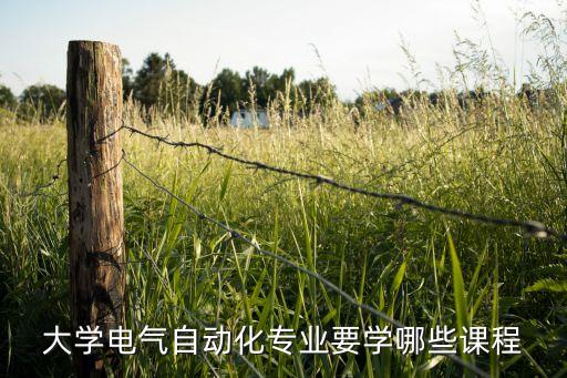 大學(xué)電氣自動(dòng)化專業(yè)要學(xué)哪些課程