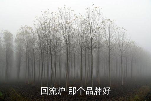 回流爐 那個品牌好