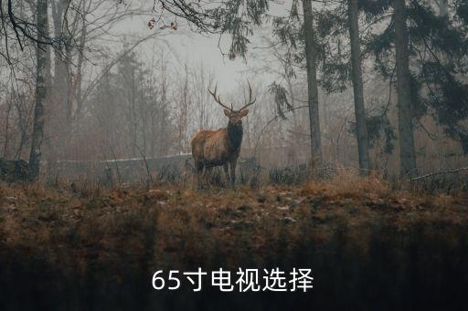 65寸電視選擇