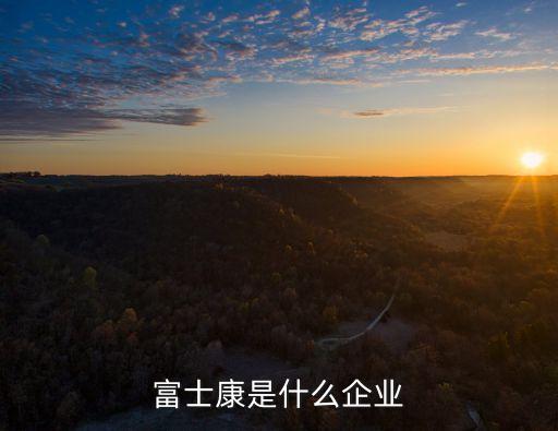 富士康是什么企業(yè)