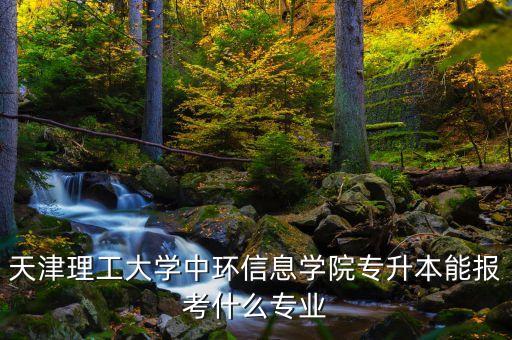 天津理工大學(xué)中環(huán)信息學(xué)院專升本能報考什么專業(yè)